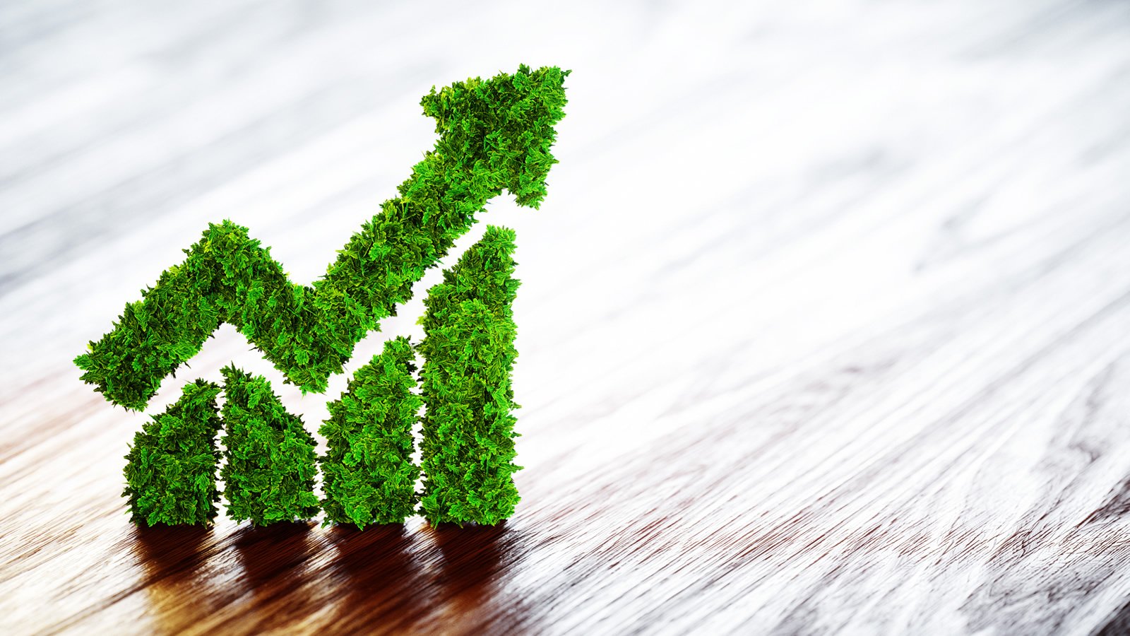 Agora é o momento de promover outro desenvolvimento