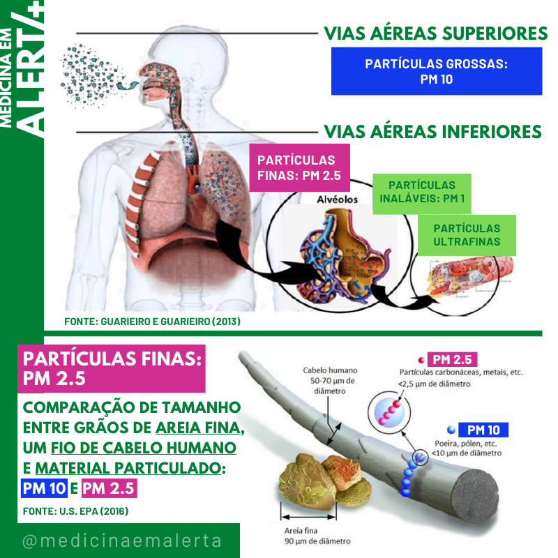Material Particulado: escala das partículas e absorção no corpo humano. (Medicina em Alerta) Poluição do ar: partículas finas (PM 2.5), partículas grossas (PM 10), partículas inaláveis (PM 1), partículas ultrafinas. (Fonte: Medicina em Alerta)